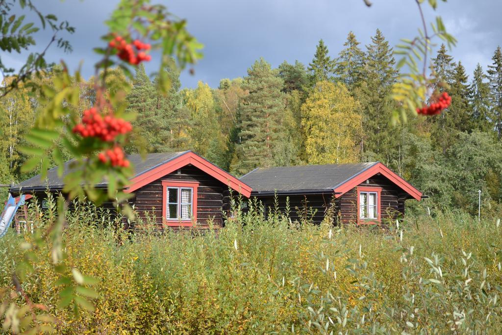 Hotel First Camp Enabadet - Raettvik Extérieur photo